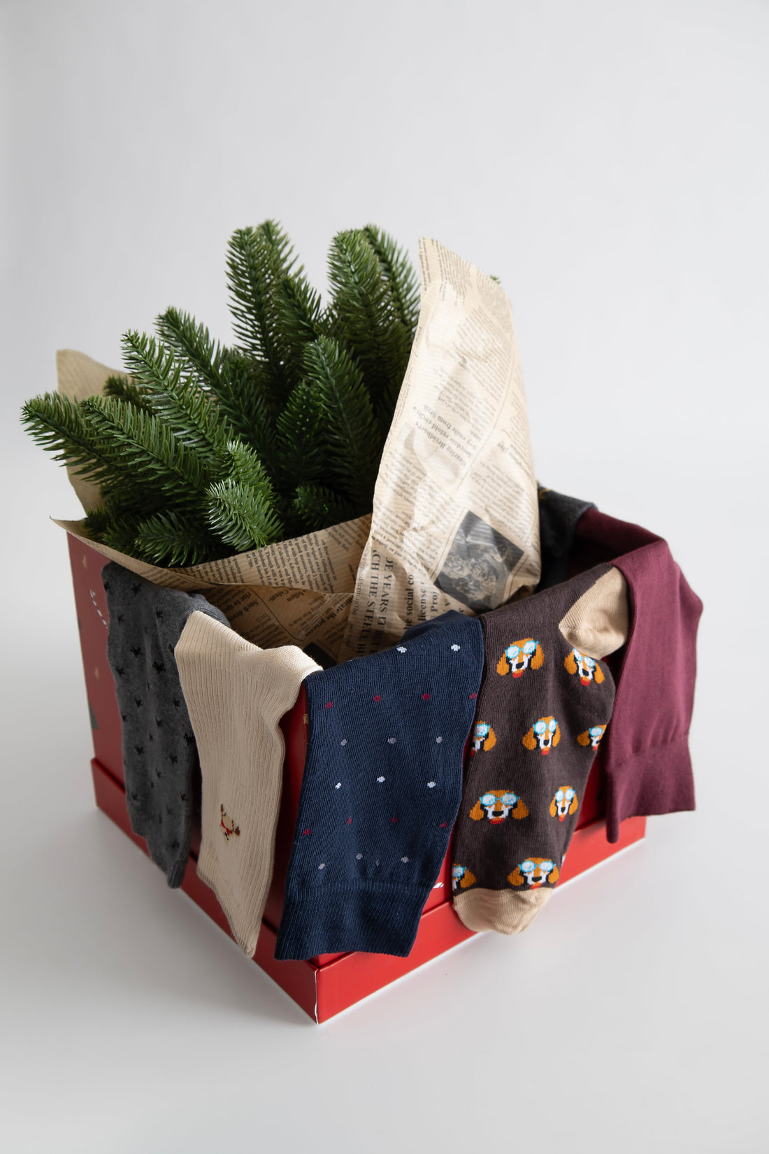 Premium Italian cotton socks displayed elegantly - affordable luxury socks by Snuggo