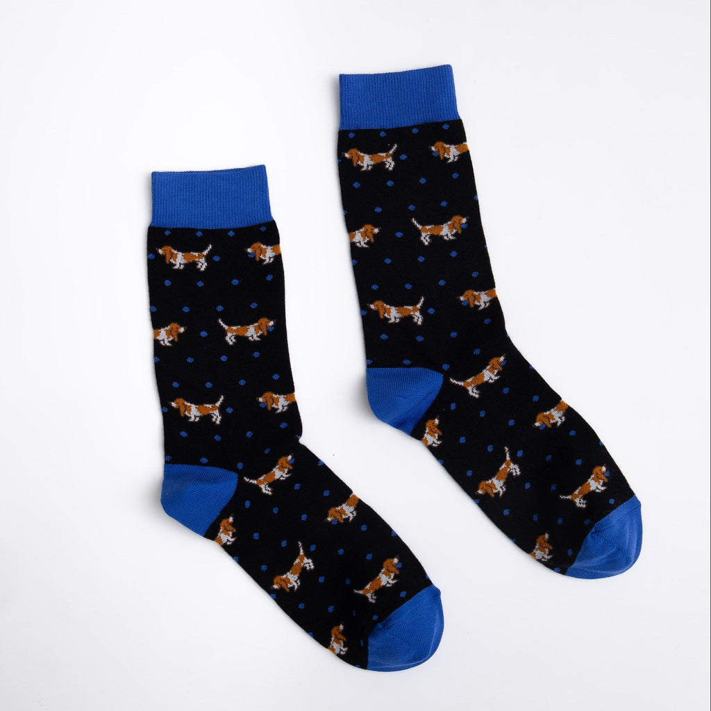 Pair of socks with dog pattern on a white background